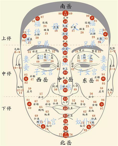 面相意思